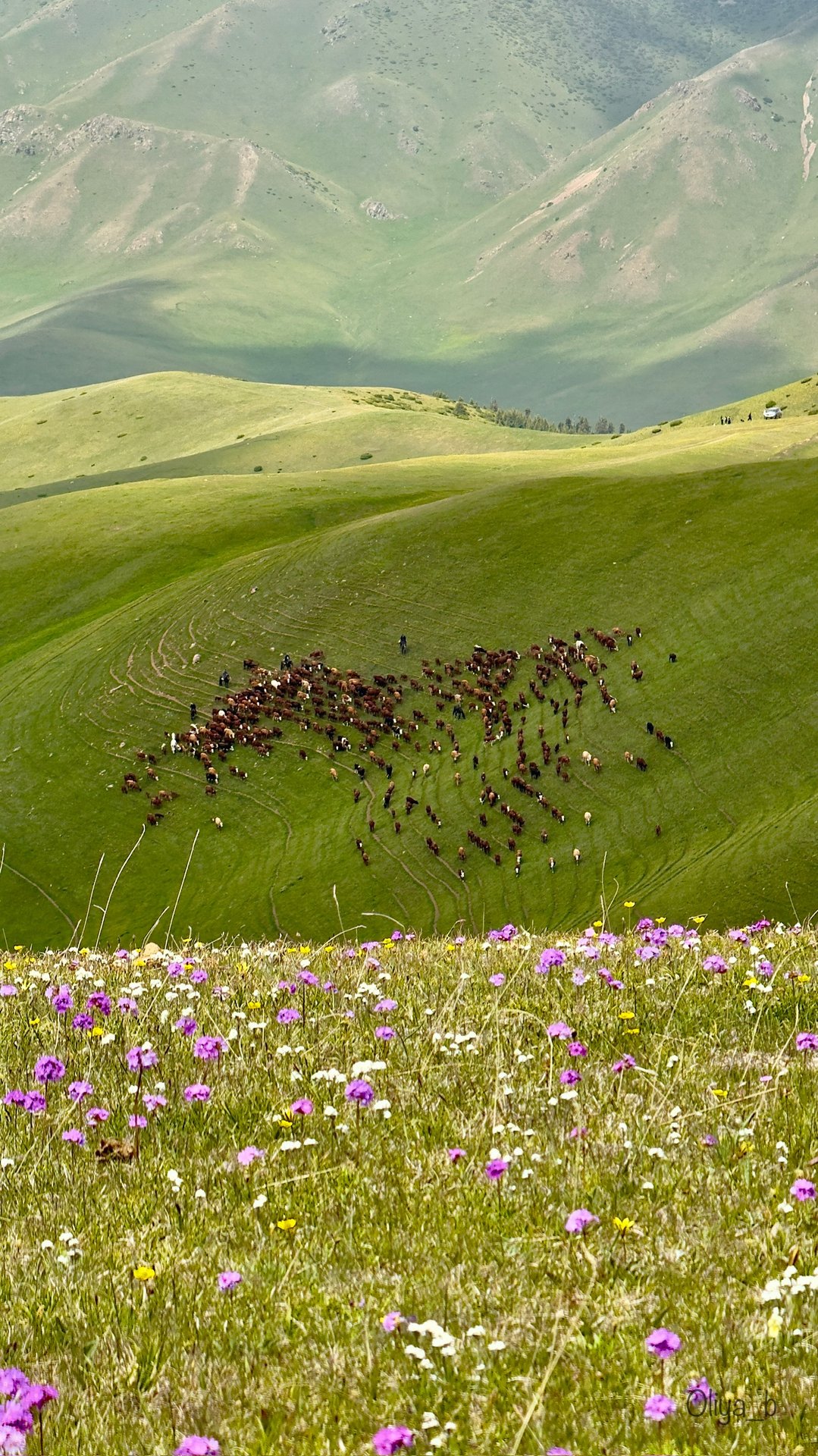 Turgen — Assy Plateau — Bartogay