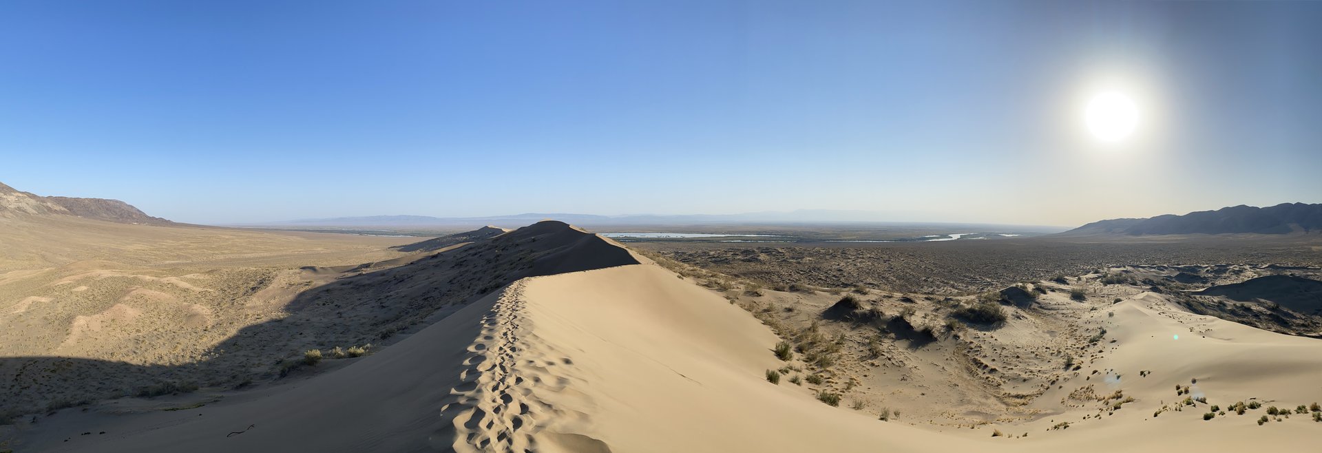 The Singing Dune — 700-Year-Old Willow
